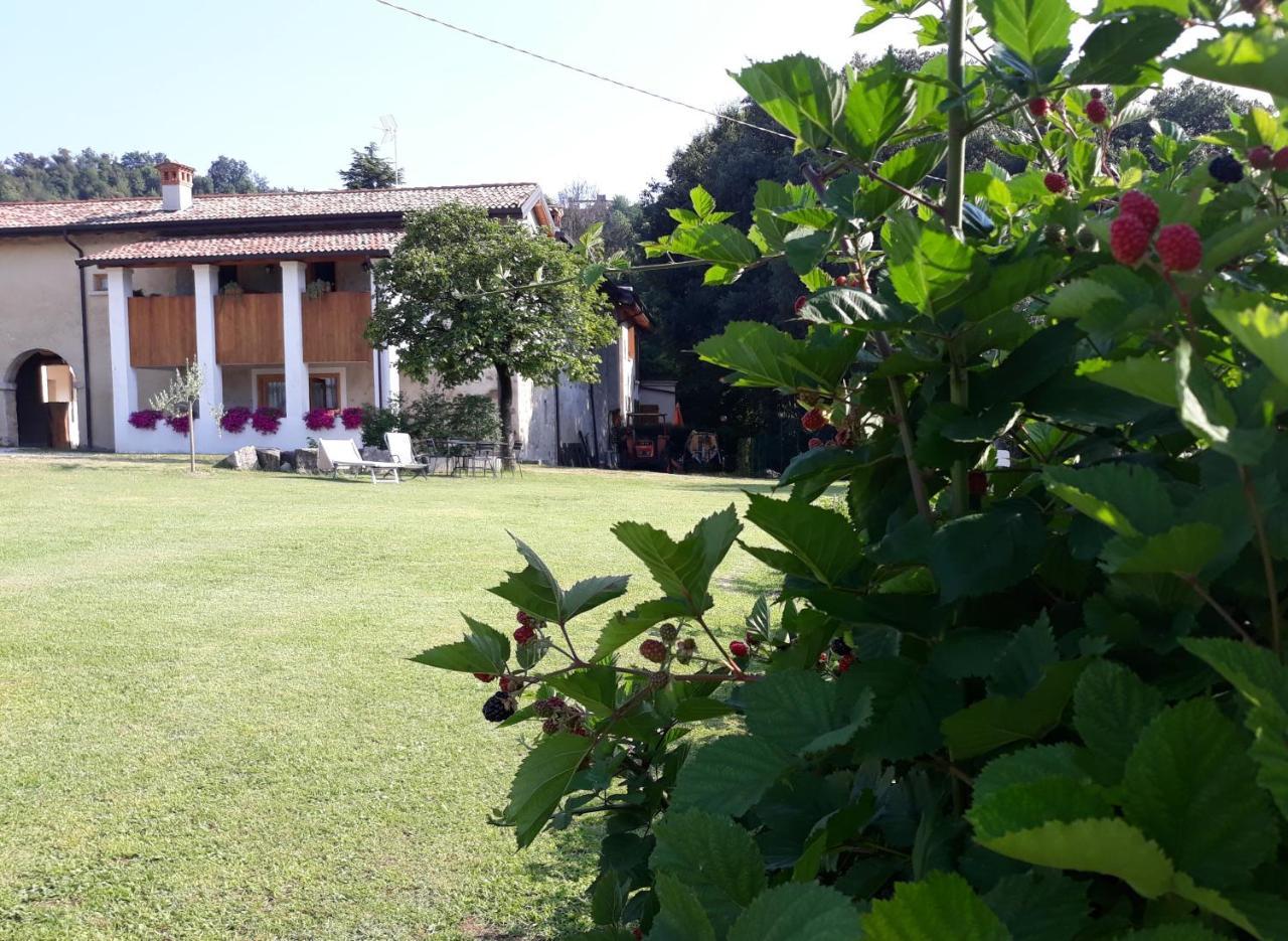 Agriturismo La Scala Βίλα Salò Εξωτερικό φωτογραφία